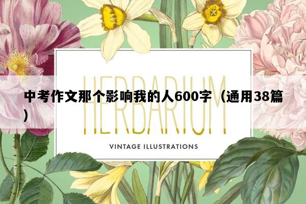 中考作文那个影响我的人600字（通用38篇）