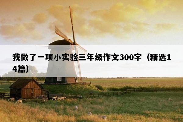 我做了一项小实验三年级作文300字（精选14篇）