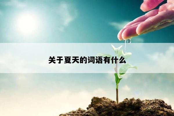 关于夏天的词语有什么