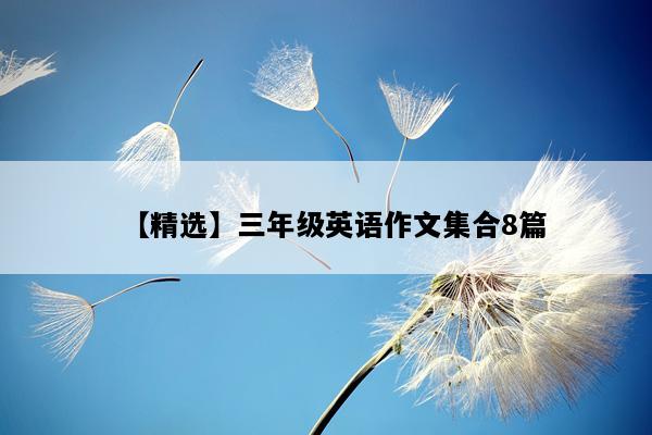 【精选】三年级英语作文集合8篇