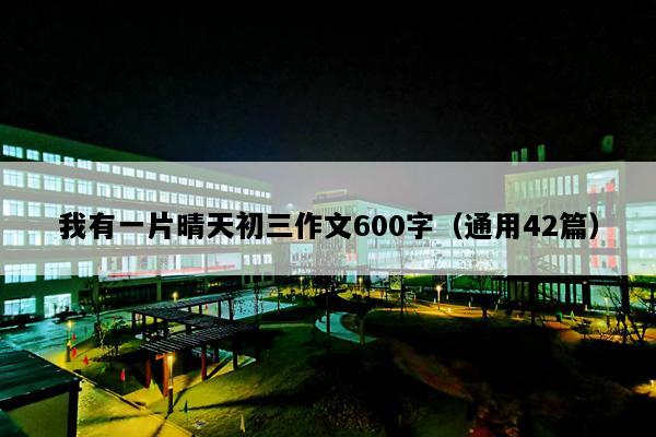 我有一片晴天初三作文600字（通用42篇）