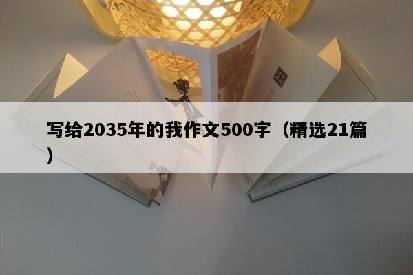 写给2035年的我作文500字（精选21篇）