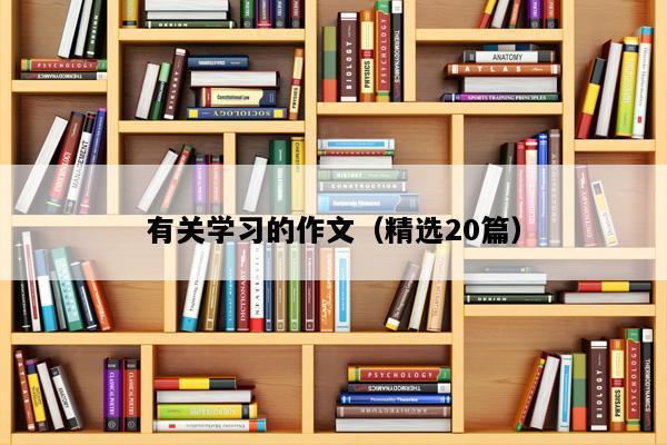 有关学习的作文（精选20篇）