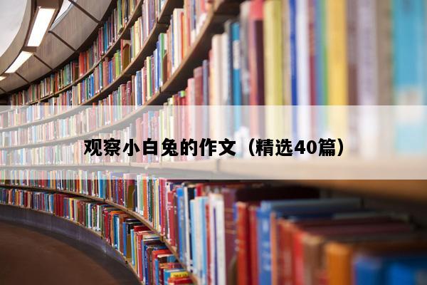 观察小白兔的作文（精选40篇）