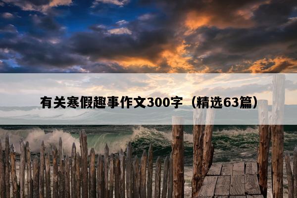 有关寒假趣事作文300字（精选63篇）