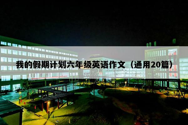 我的假期计划六年级英语作文（通用20篇）