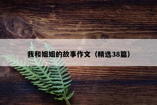 我和姐姐的故事作文（精选38篇）