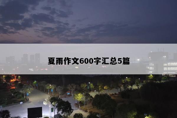 夏雨作文600字汇总5篇