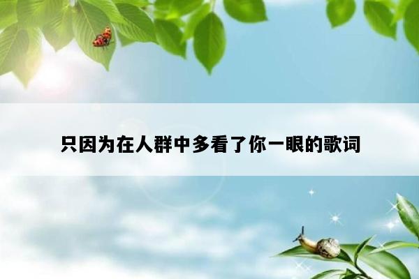 只因为在人群中多看了你一眼的歌词