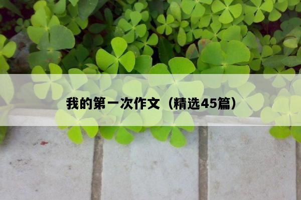我的第一次作文（精选45篇）