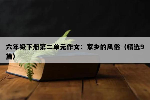 六年级下册第二单元作文：家乡的风俗（精选9篇）