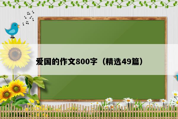 爱国的作文800字（精选49篇）