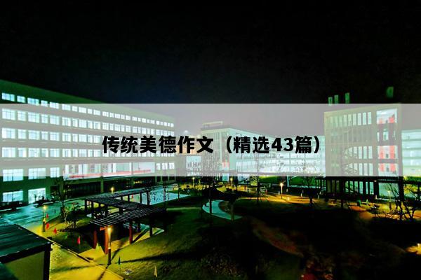 传统美德作文（精选43篇）