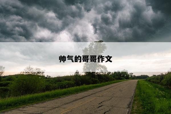 帅气的哥哥作文