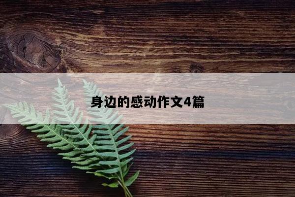 身边的感动作文4篇