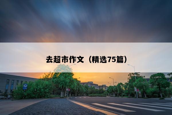 去超市作文（精选75篇）
