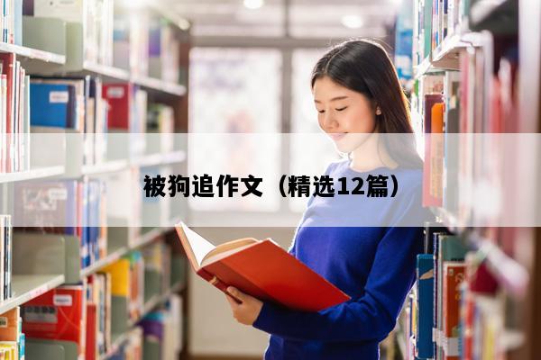 被狗追作文（精选12篇）