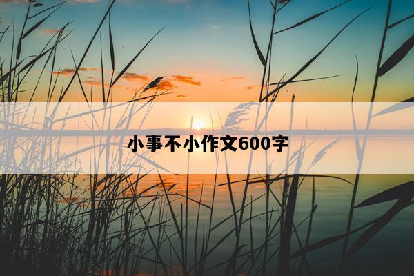 小事不小作文600字