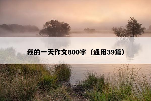 我的一天作文800字（通用39篇）