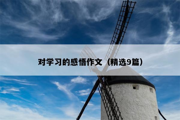 对学习的感悟作文（精选9篇）