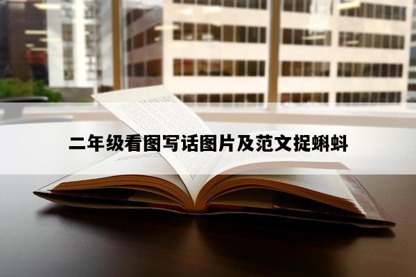 二年级看图写话图片及范文捉蝌蚪