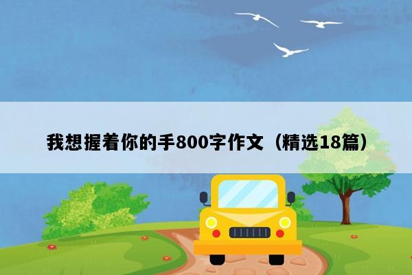 我想握着你的手800字作文（精选18篇）