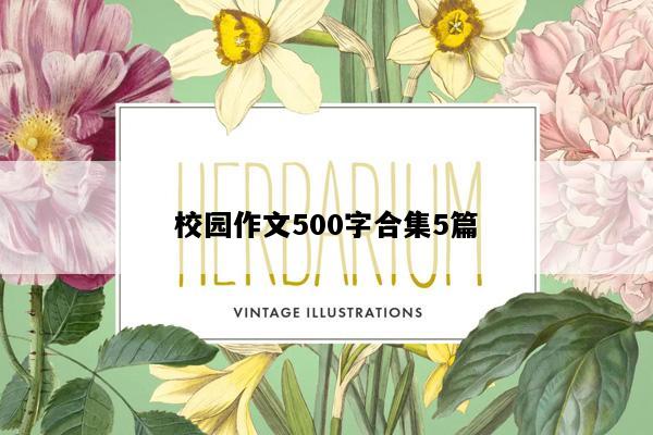 校园作文500字合集5篇