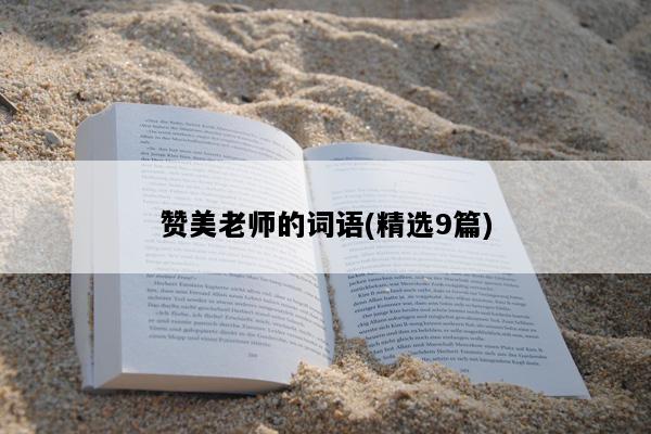 赞美老师的词语(精选9篇)