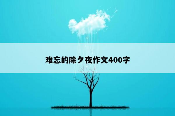 难忘的除夕夜作文400字