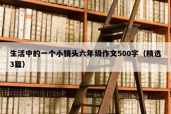 生活中的一个小镜头六年级作文500字（精选3篇）