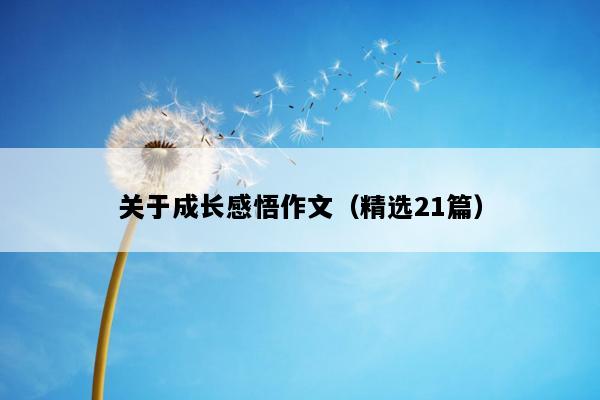 关于成长感悟作文（精选21篇）