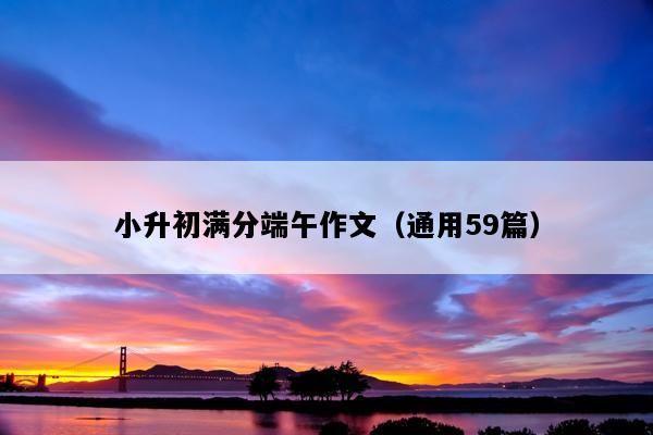 小升初满分端午作文（通用59篇）