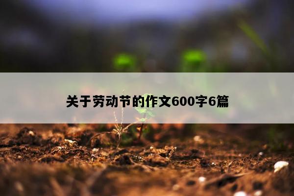 关于劳动节的作文600字6篇