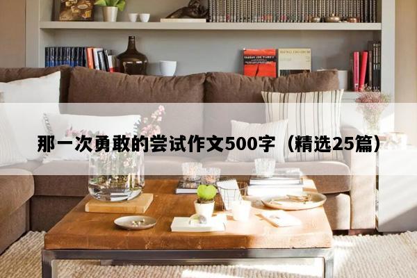 那一次勇敢的尝试作文500字（精选25篇）