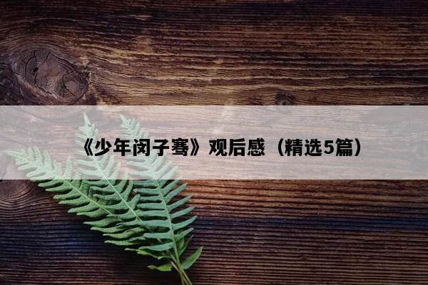 《少年闵子骞》观后感（精选5篇）