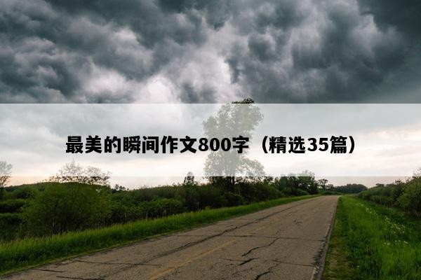 最美的瞬间作文800字（精选35篇）