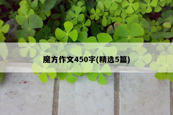 魔方作文450字(精选5篇)
