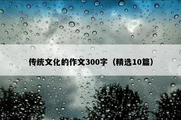 传统文化的作文300字（精选10篇）