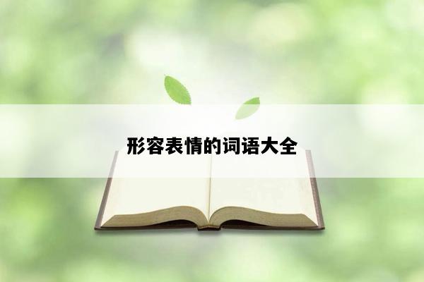 形容表情的词语大全