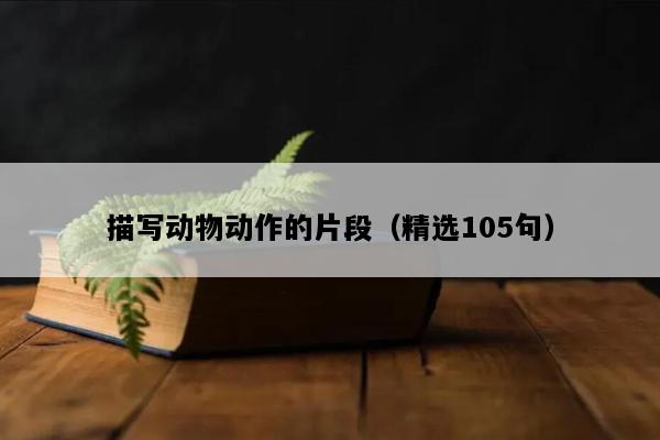描写动物动作的片段（精选105句）