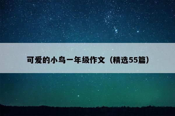 可爱的小鸟一年级作文（精选55篇）