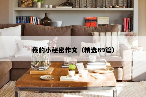 我的小秘密作文（精选69篇）