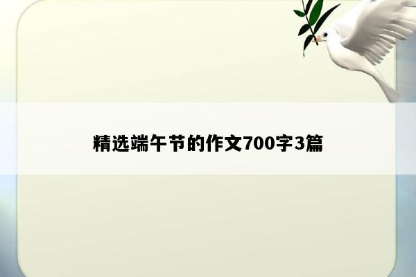 精选端午节的作文700字3篇