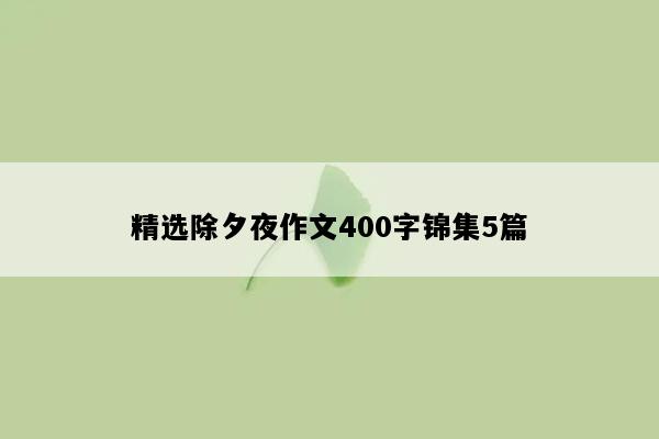 精选除夕夜作文400字锦集5篇