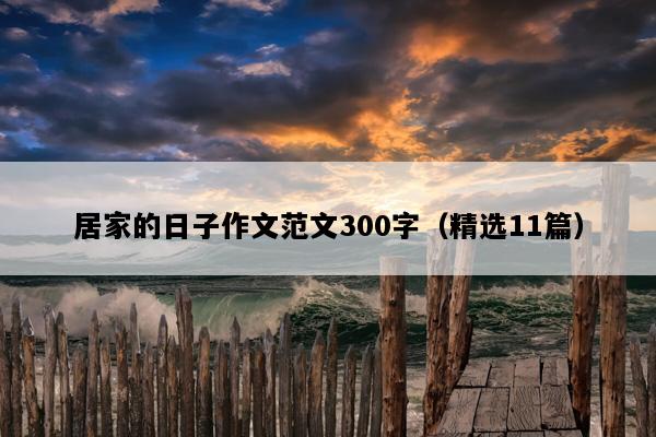 居家的日子作文范文300字（精选11篇）