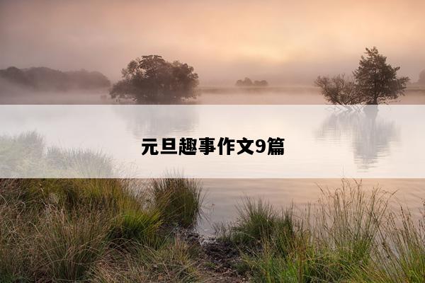 元旦趣事作文9篇