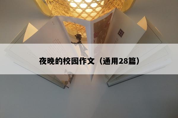 夜晚的校园作文（通用28篇）