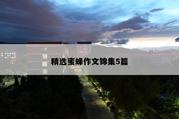 精选蜜蜂作文锦集5篇