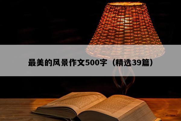 最美的风景作文500字（精选39篇）