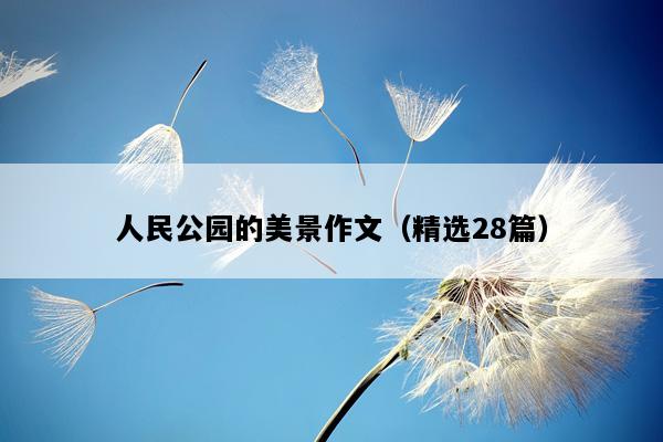 人民公园的美景作文（精选28篇）